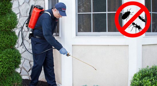 Çekerek Karınca İlaçlama böcek ilaçlama ve haşere kontrolü — ilaclama-tr.com